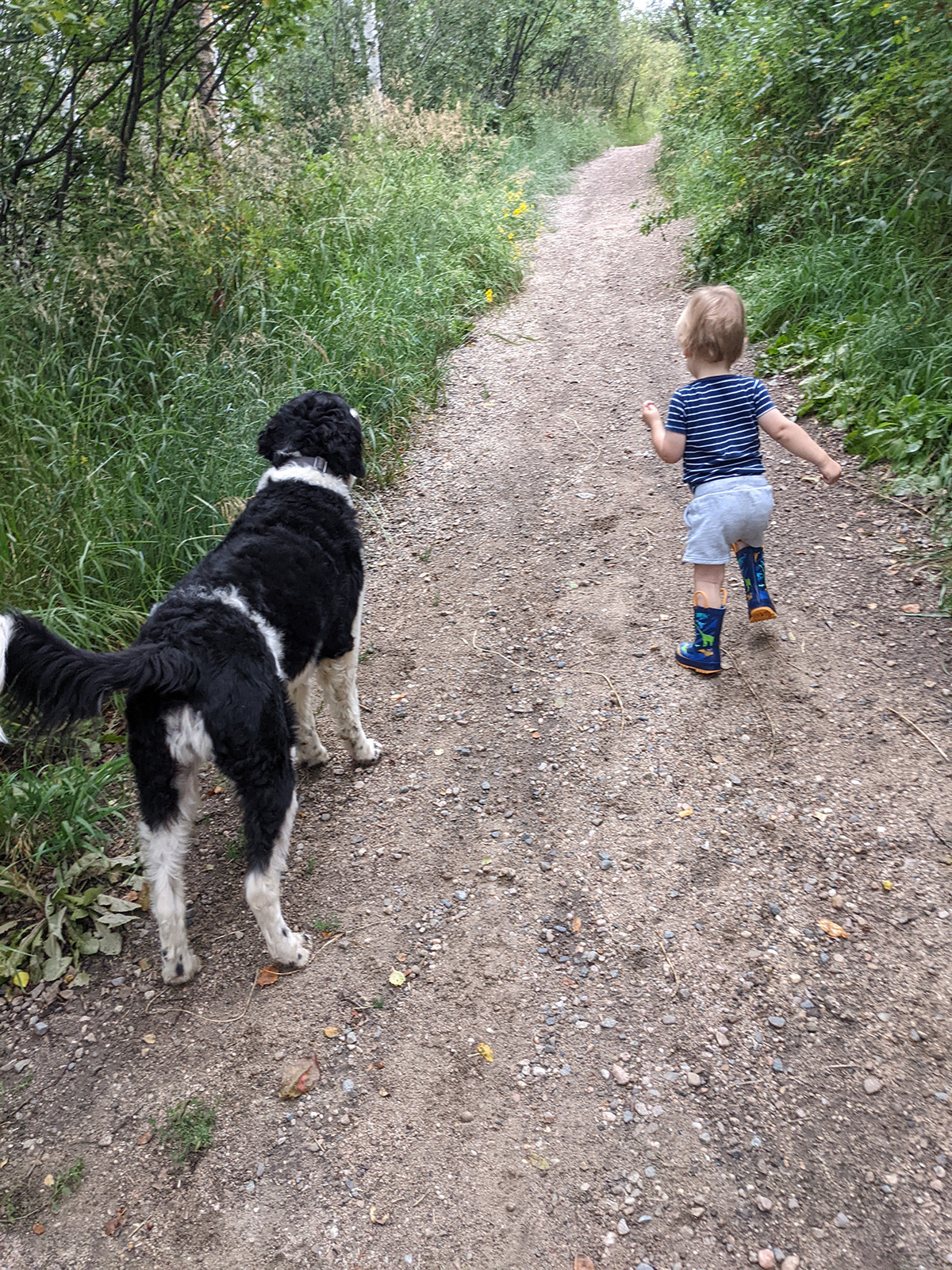 Kid Friendly Hikes in Steamboat Springs