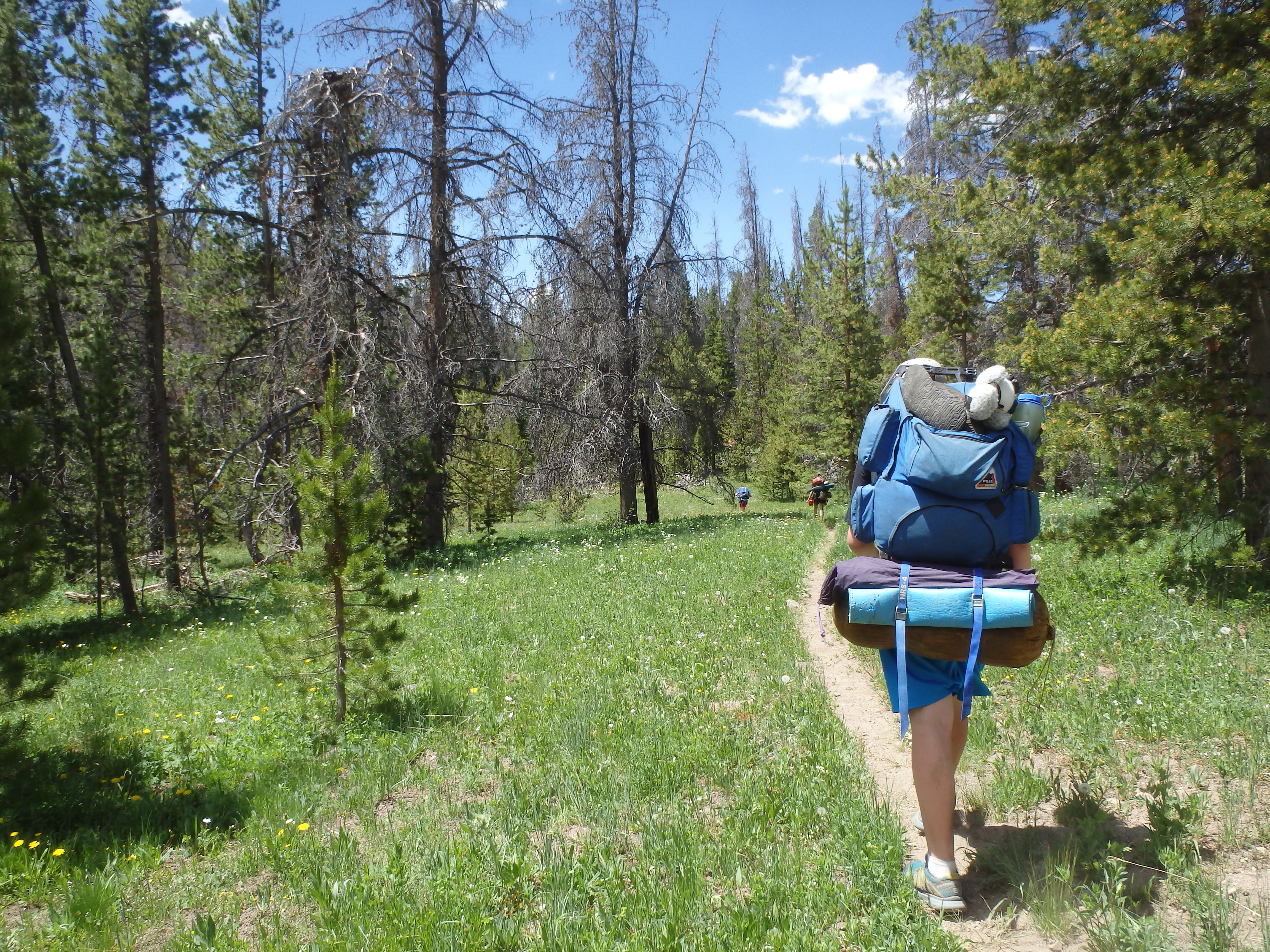 Nature, Confidence, and Connection: The Valuable Impact of Outdoor Summer Camps
