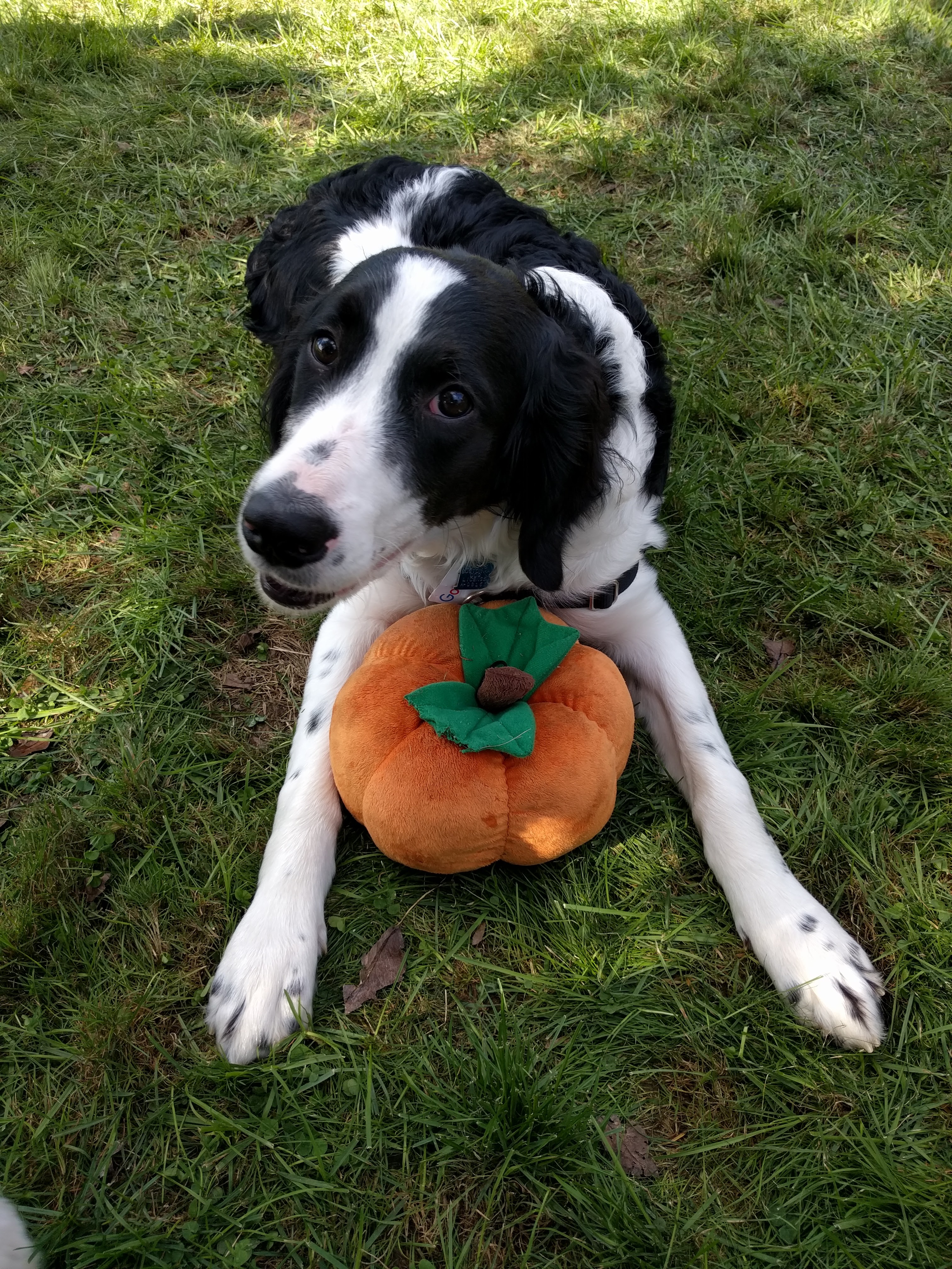 Fall Festivals in Routt County 2025